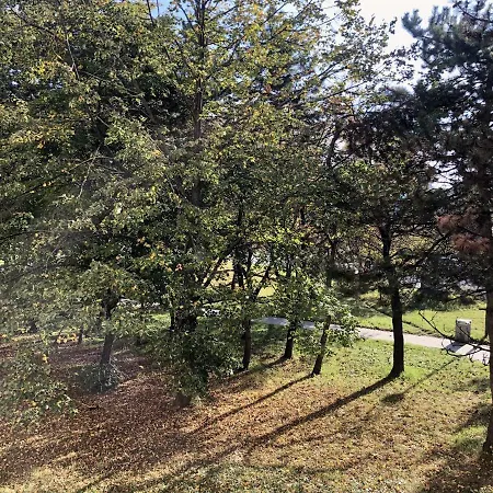 Family-friendly With Free Parking In