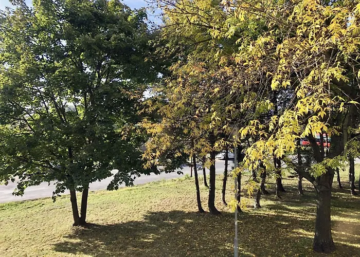 Family-friendly With Free Parking In * Bratislava