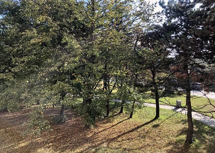 Family-friendly With Free Parking In